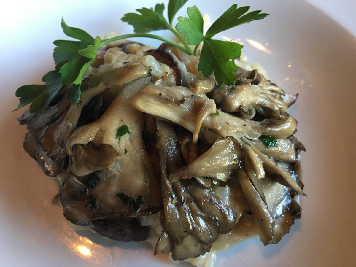 mushroomrisotto Costa Brava Bistro